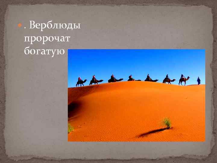  . Верблюды пророчат богатую невесту. 