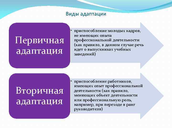 Виды кадров. Типы адаптации персонала. Первичная адаптация. Первичная адаптация персонала это. Вторичная адаптация.