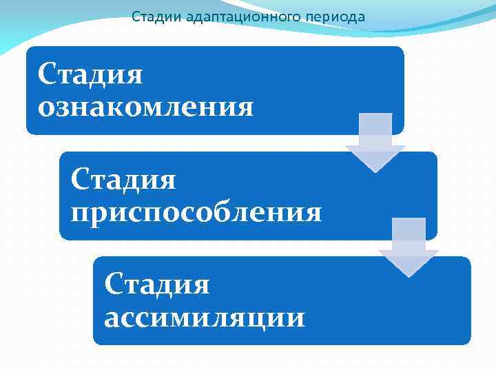 Стадии адаптационного периода Стадия ознакомления Стадия приспособления Стадия ассимиляции 