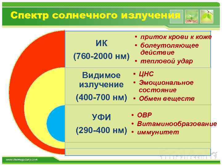 Спектр солнечного излучения ИК (760 -2000 нм) • приток крови к коже • болеутоляющее