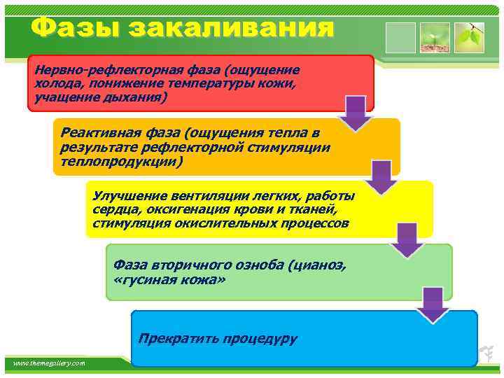 Фазы закаливания Нервно-рефлекторная фаза (ощущение холода, понижение температуры кожи, учащение дыхания) Реактивная фаза (ощущения