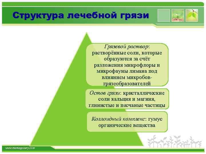 Структура лечебной грязи Грязевой раствор: растворённые соли, которые образуются за счёт разложения микрофлоры и