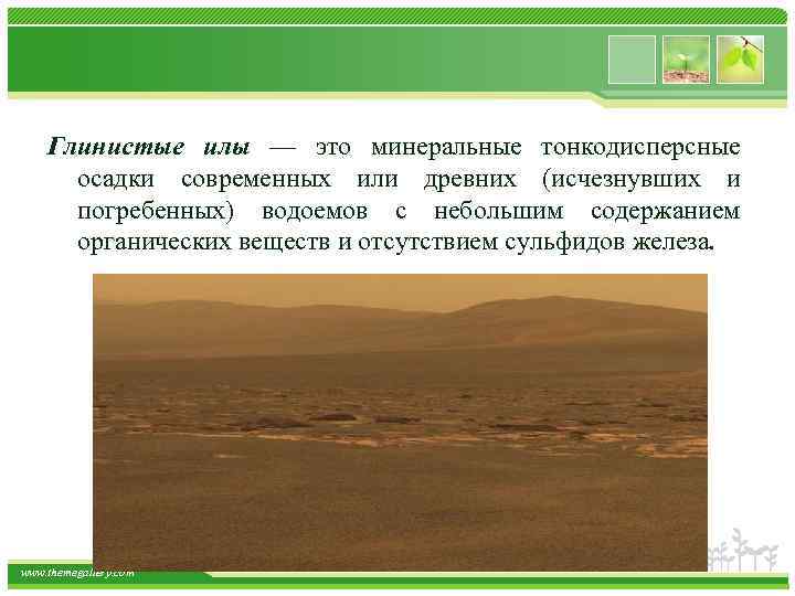 Глинистые илы — это минеральные тонкодисперсные осадки современных или древних (исчезнувших и погребенных) водоемов