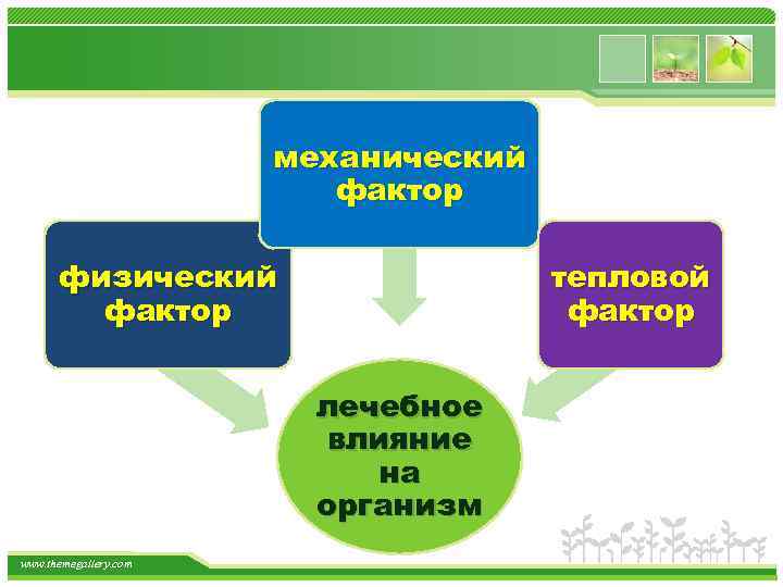 механический фактор физический фактор тепловой фактор лечебное влияние на организм www. themegallery. com 