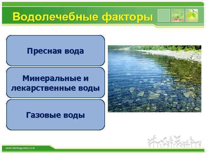 Водолечебные факторы Пресная вода Минеральные и лекарственные воды Газовые воды www. themegallery. com 