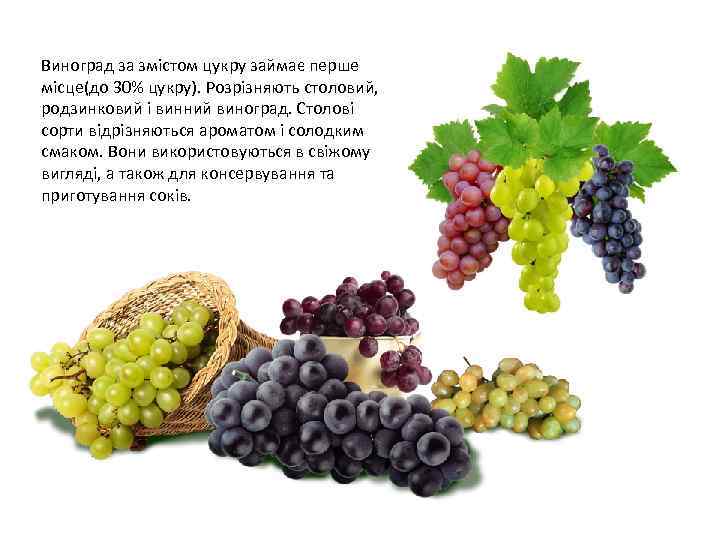 Виноград за змістом цукру займає перше місце(до 30% цукру). Розрізняють столовий, родзинковий і винний