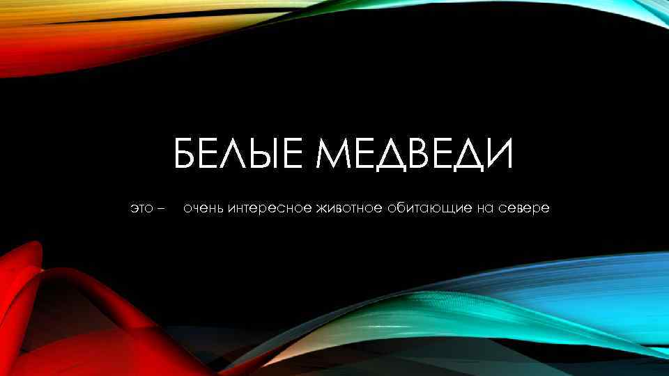 БЕЛЫЕ МЕДВЕДИ это – очень интересное животное обитающие на севере 