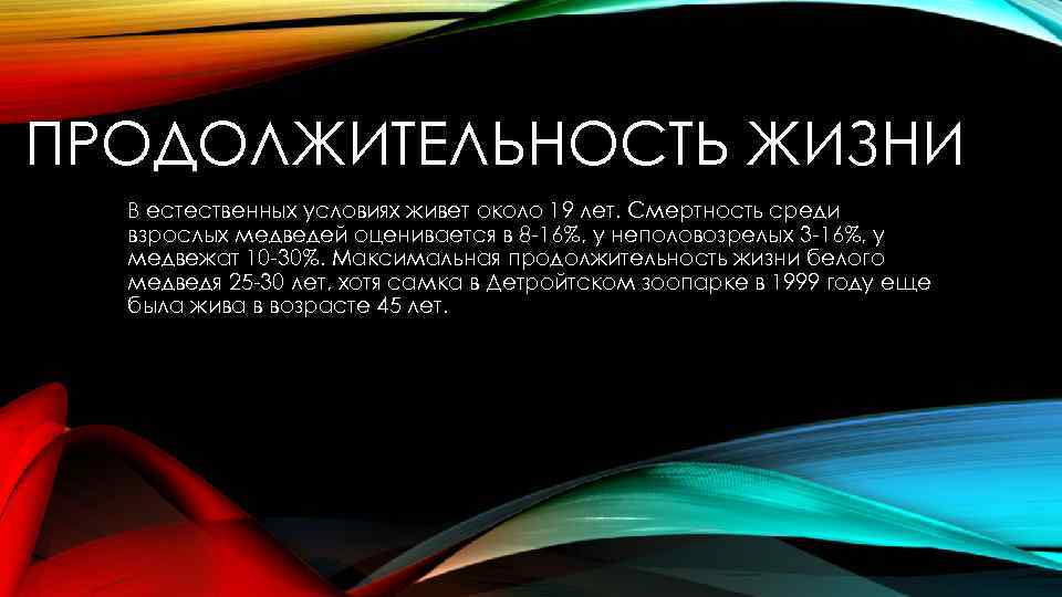 ПРОДОЛЖИТЕЛЬНОСТЬ ЖИЗНИ В естественных условиях живет около 19 лет. Смертность среди взрослых медведей оценивается