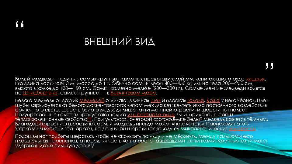“ ВНЕШНИЙ ВИД ” Белый медведь — один из самых крупных наземных представителей млекопитающих