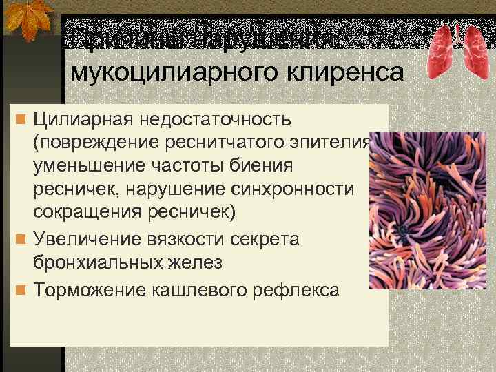 Причины нарушения мукоцилиарного клиренса n Цилиарная недостаточность (повреждение реснитчатого эпителия, уменьшение частоты биения ресничек,