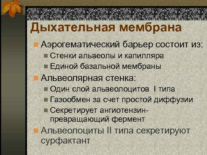 Дыхательная мембрана n Аэрогематический барьер состоит из: n Стенки альвеолы и капилляра n Единой