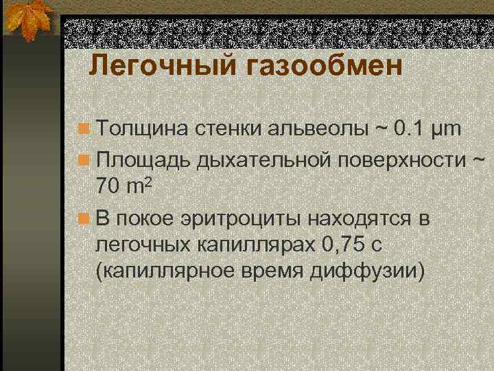 Легочный газообмен n Толщина стенки альвеолы ~ 0. 1 µm n Площадь дыхательной поверхности