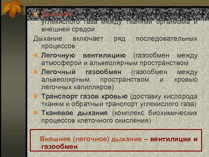 n Дыхание – это процесс обмена кислорода и углекислого газа между тканями организма и