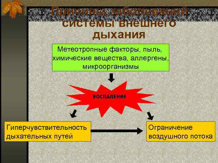 Причины заболеваний системы внешнего дыхания Метеотропные факторы, пыль, химические вещества, аллергены, микроорганизмы Гиперчувствительность дыхательных