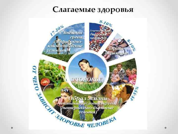 Слагаемые здоровья 