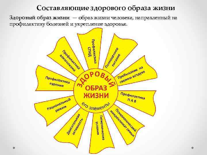 Составляющие здорового образа жизни Здоровый образ жизни — образ жизни человека, направленный на профилактику