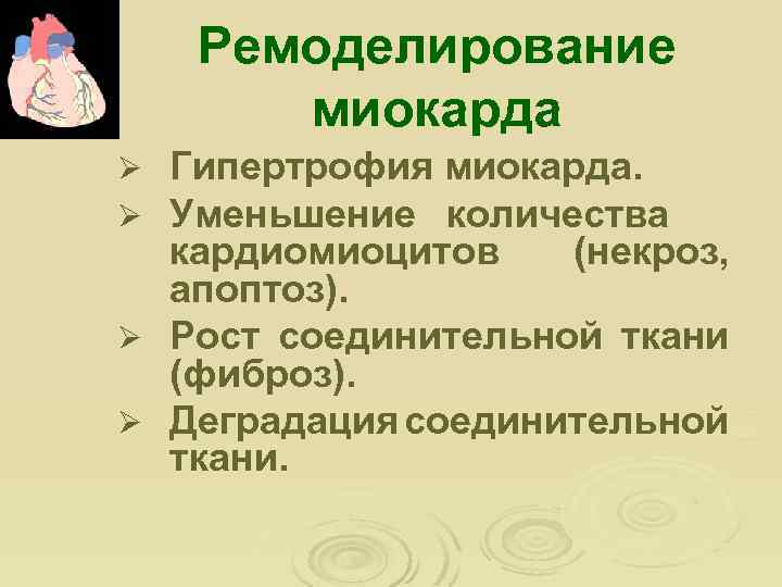 Ремоделирование миокарда Гипертрофия миокарда. Уменьшение количества кардиомиоцитов (некроз, апоптоз). Ø Рост соединительной ткани (фиброз).