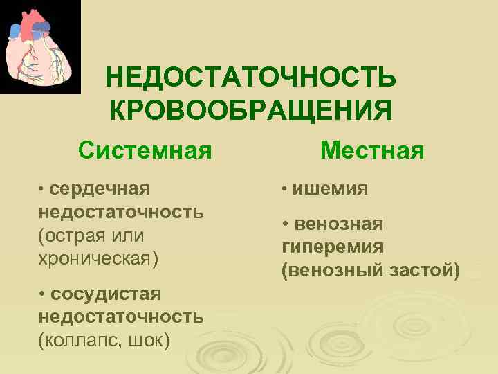 НЕДОСТАТОЧНОСТЬ КРОВООБРАЩЕНИЯ Системная • сердечная недостаточность (острая или хроническая) • сосудистая недостаточность (коллапс, шок)