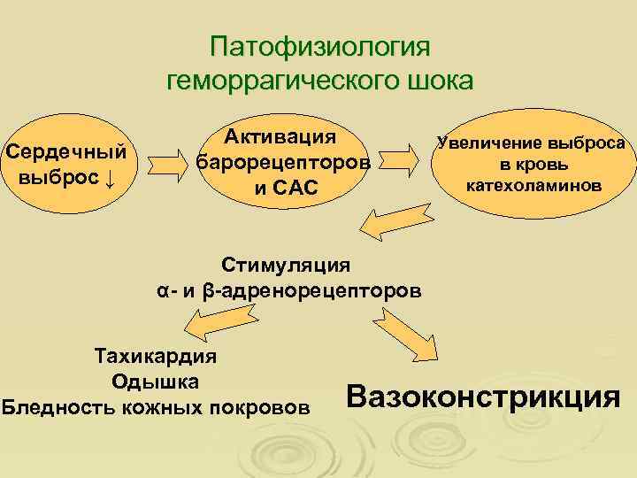 Патофизиология геморрагического шока Сердечный выброс ↓ Активация барорецепторов и САС Увеличение выброса в кровь