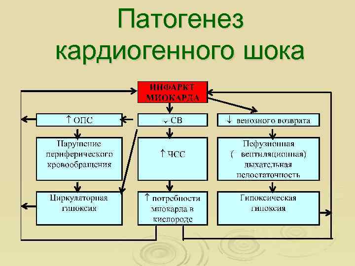 Патогенез кардиогенного шока 