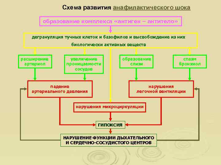 Схема развития анафилактического шока образование комплекса «антиген – антитело» дегрануляция тучных клеток и базофилов