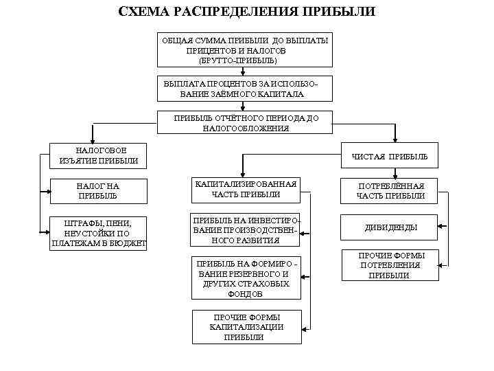 СХЕМА РАСПРЕДЕЛЕНИЯ ПРИБЫЛИ ОБЩАЯ СУММА ПРИБЫЛИ ДО ВЫПЛАТЫ ПРИЦЕНТОВ И НАЛОГОВ (БРУТТО-ПРИБЫЛЬ) ВЫПЛАТА ПРОЦЕНТОВ