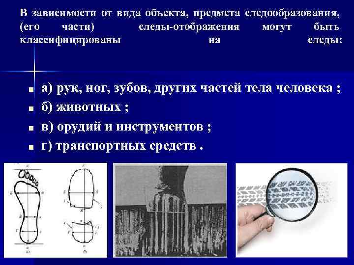 В зависимости от вида объекта, предмета следообразования, (его части) следы-отображения могут быть классифицированы на