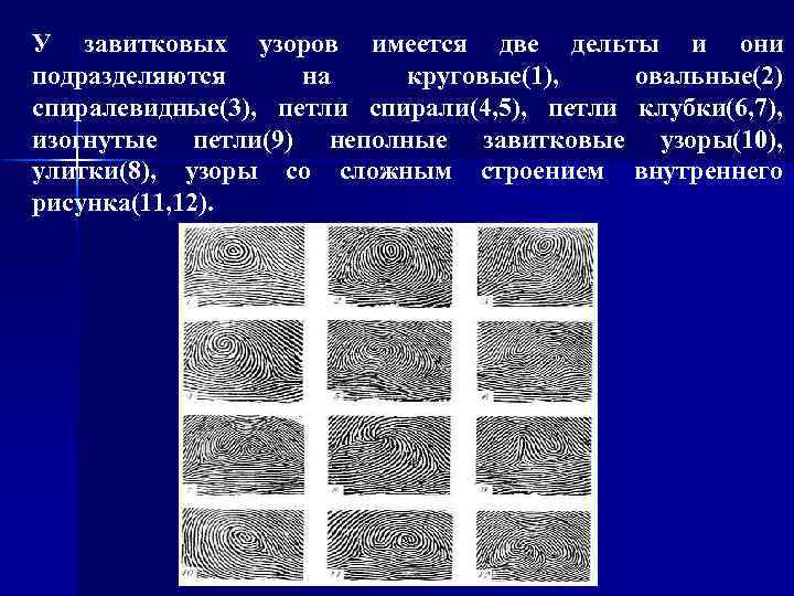 Завитковый узор. Неполные завитковые узоры. Дельта у завитковых узоров. Завитковый узор в криминалистике дельты. Завитковый овальный узор.