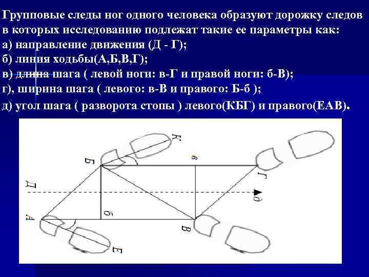 Групповые следы ног одного человека образуют дорожку следов в которых исследованию подлежат такие ее