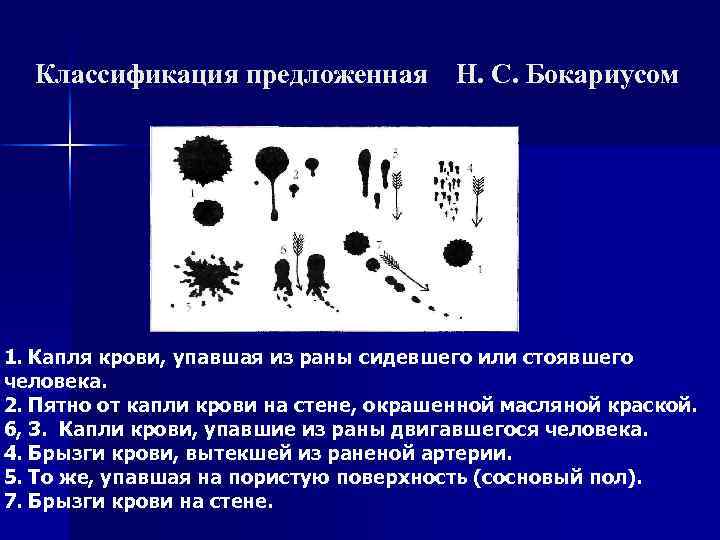 Классификация предложенная Н. С. Бокариусом 1. Капля крови, упавшая из раны сидевшего или стоявшего