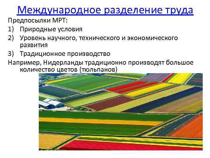 Международное разделение труда Предпосылки МРТ: 1) Природные условия 2) Уровень научного, технического и экономического
