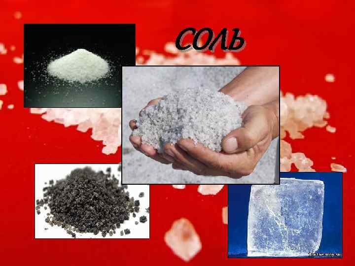 СОЛЬ 