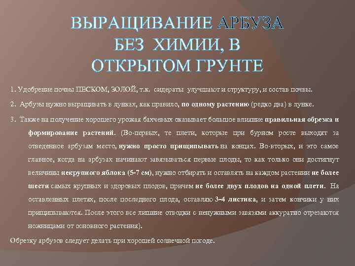 ВЫРАЩИВАНИЕ АРБУЗА БЕЗ ХИМИИ, В ОТКРЫТОМ ГРУНТЕ 1. Удобрение почвы ПЕСКОМ, ЗОЛОЙ, т. к.