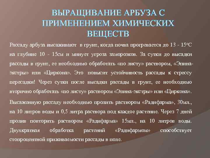 ВЫРАЩИВАНИЕ АРБУЗА С ПРИМЕНЕНИЕМ ХИМИЧЕСКИХ ВЕЩЕСТВ Рассаду арбуза высаживают в грунт, когда почва прогревается