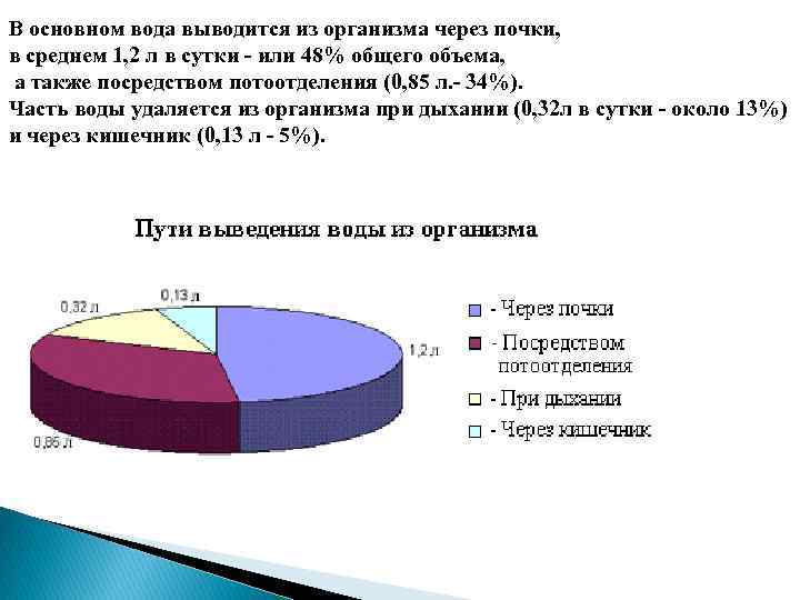 В основном вода выводится из организма через почки, в среднем 1, 2 л в