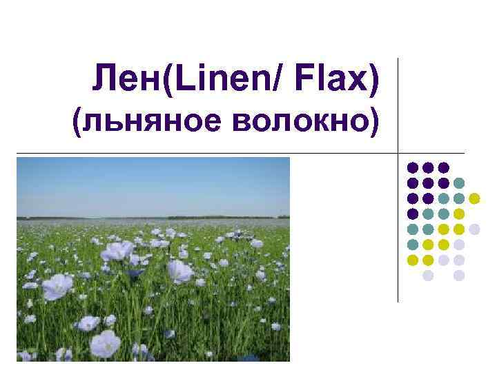 Лен(Linen/ Flax) (льняное волокно) 