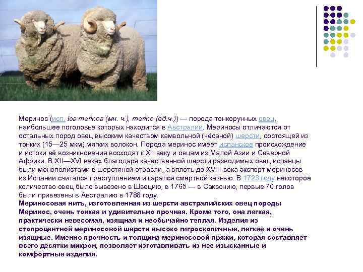 Меринос (исп. los merinos (мн. ч. ), merino (ед. ч. )) — порода тонкорунных