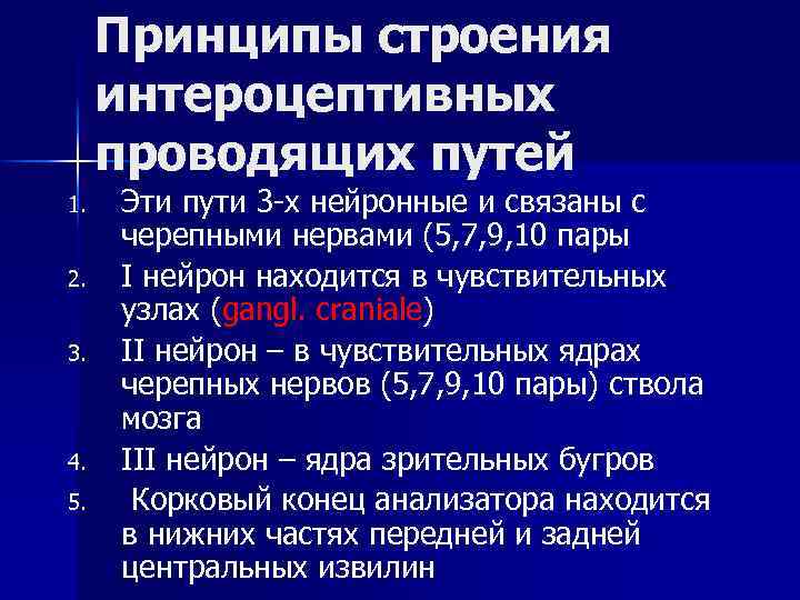 Принципы строения интероцептивных проводящих путей 1. 2. 3. 4. 5. Эти пути 3 -х