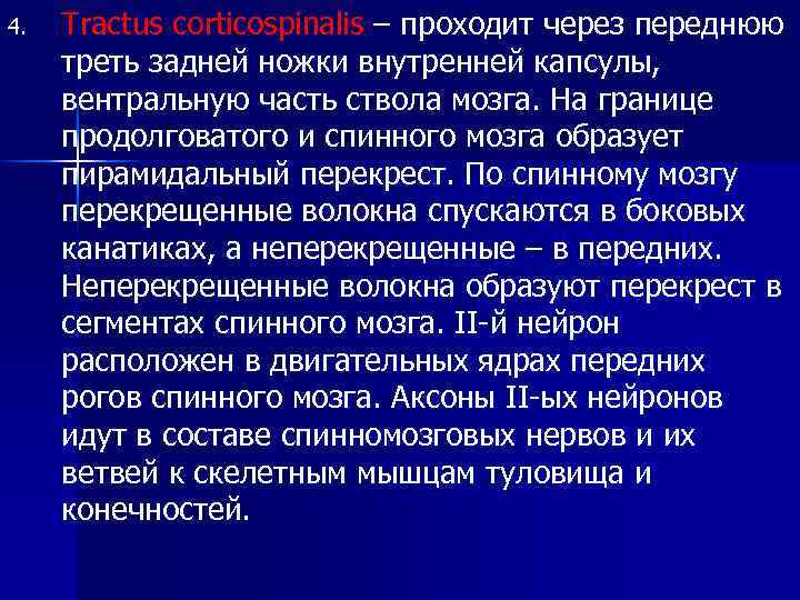 4. Tractus corticospinalis – проходит через переднюю треть задней ножки внутренней капсулы, вентральную часть