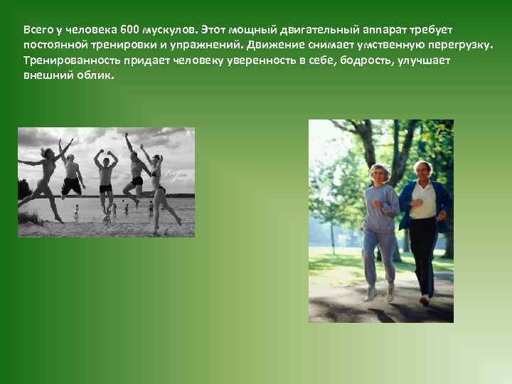 Всего у человека 600 мускулов. Этот мощный двигательный аппарат требует постоянной тренировки и упражнений.