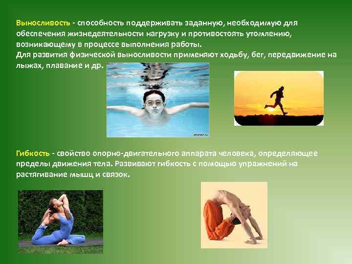 Выносливость способность поддерживать заданную, необходимую для обеспечения жизнедеятельности нагрузку и противостоять утомлению, возникающему в