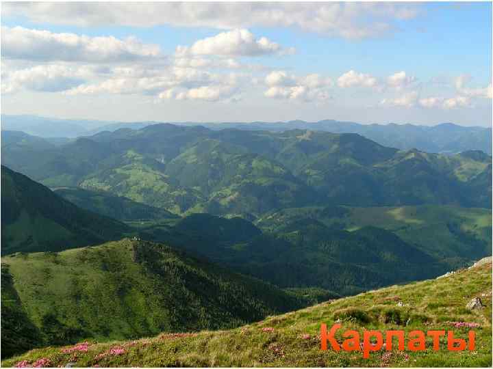 Карпаты 