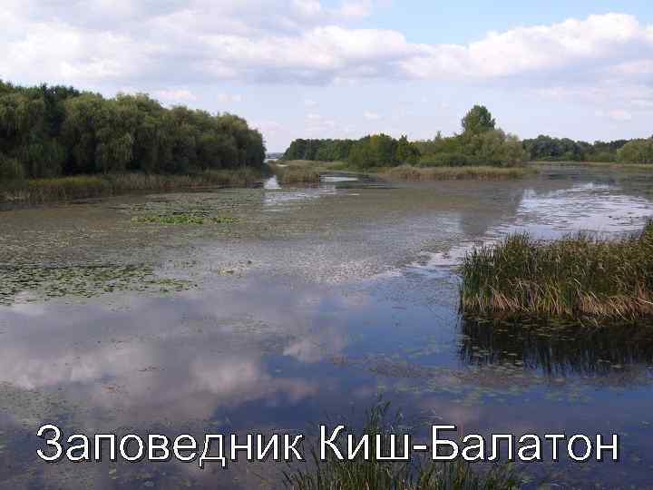 Заповедник Киш-Балатон 