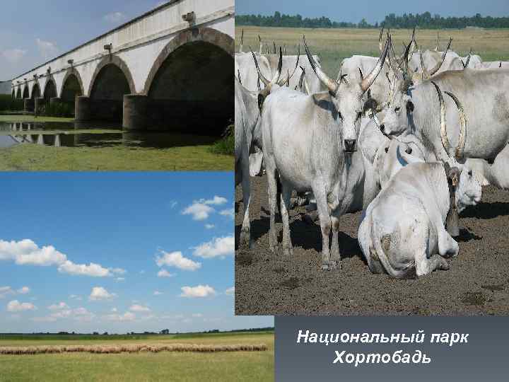 Национальный парк Хортобадь 