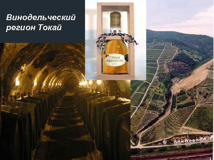 Винодельческий регион Токай 