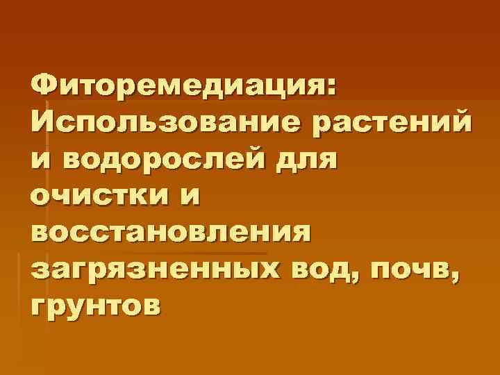 Фиторемедиация: Использование растений и водорослей для очистки и восстановления загрязненных вод, почв, грунтов 