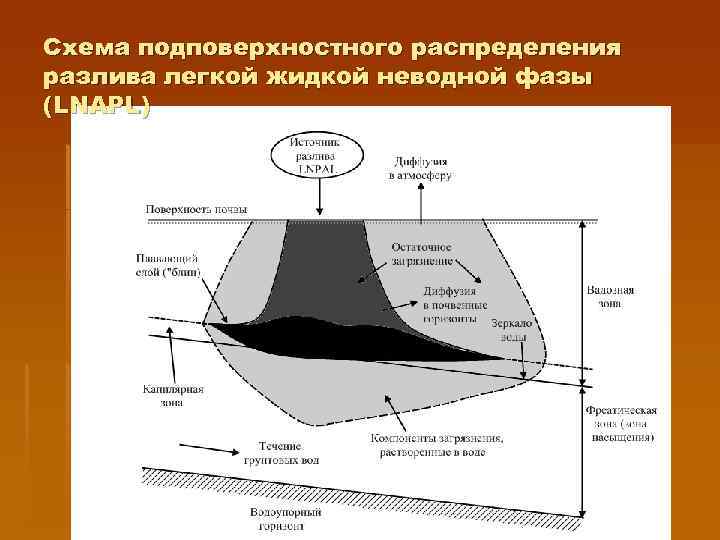 Схема подповерхностного распределения разлива легкой жидкой неводной фазы (LNAPL) 
