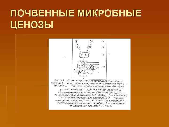 ПОЧВЕННЫЕ МИКРОБНЫЕ ЦЕНОЗЫ 