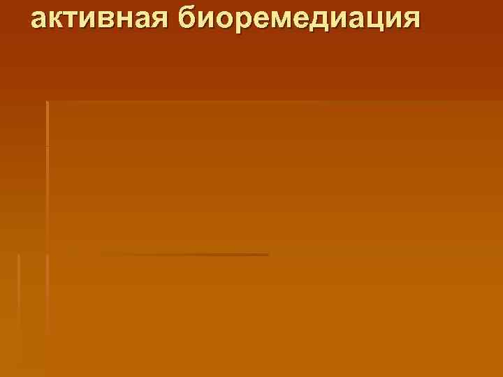 активная биоремедиация 
