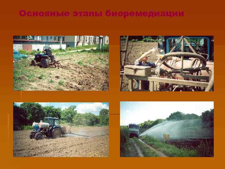 Основные этапы биоремедиации 